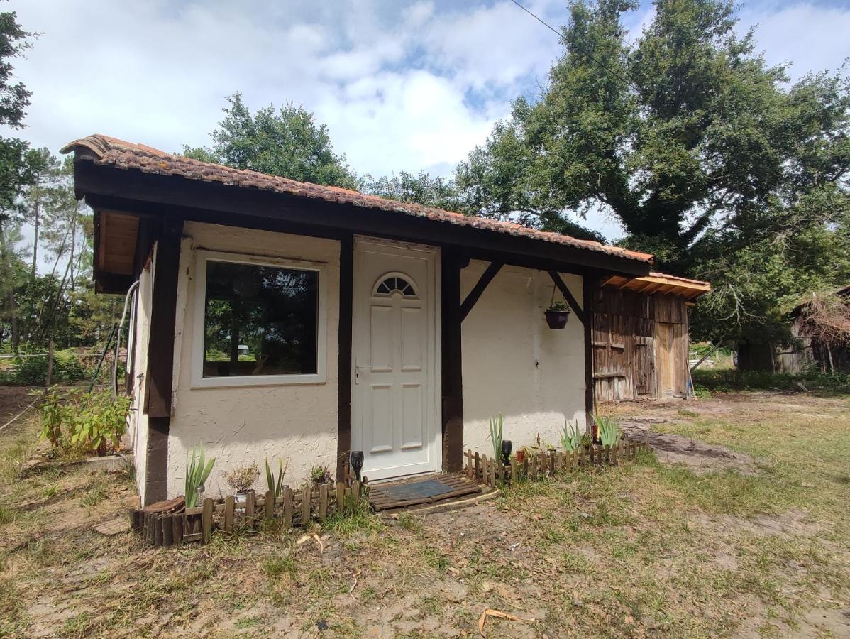La Baraque Des Artistes Holiday home *