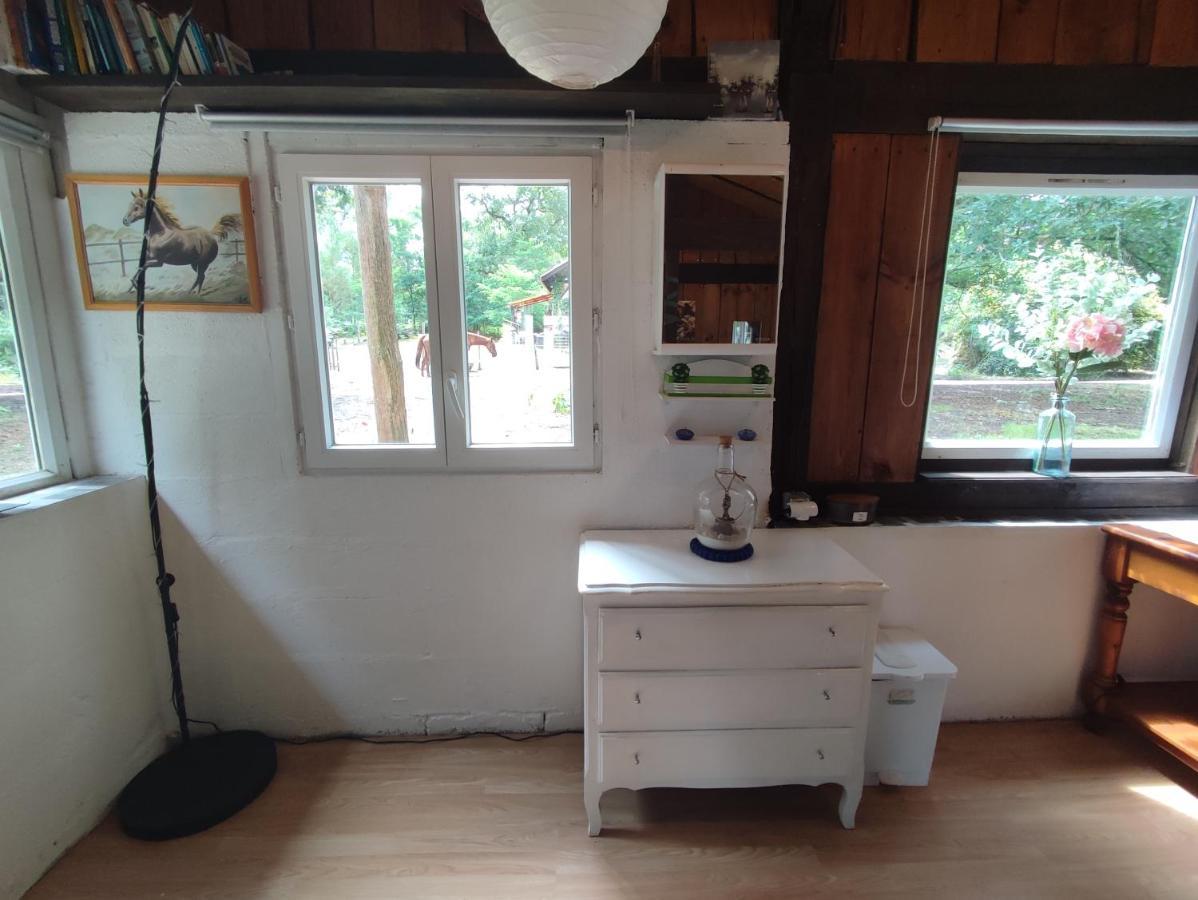La Baraque Des Artistes Holiday home Laharie